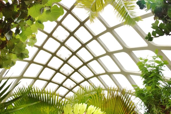 Glasdach mit organischer Architektur mit Pflanzen